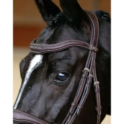 LeMieux Hoofdstel Kudos Contour Flash Bruin