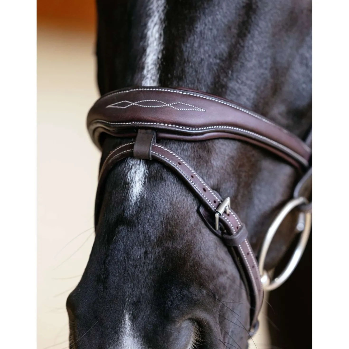 LeMieux Hoofdstel Kudos Contour Flash Bruin