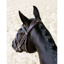 LeMieux Hoofdstel Kudos Contour Flash Bruin