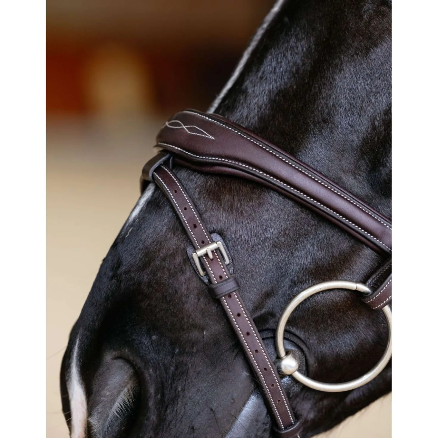 LeMieux Hoofdstel Kudos Contour Flash Bruin