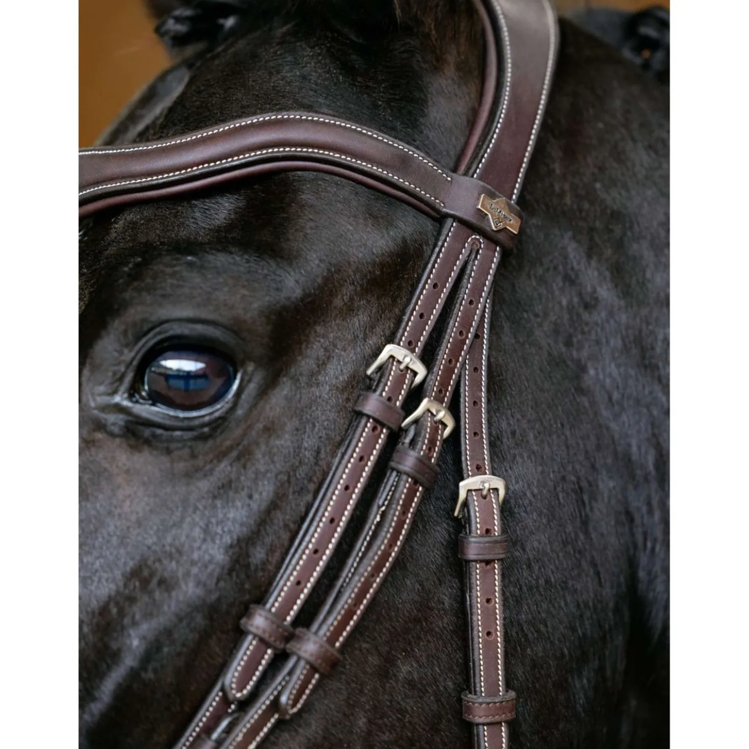 LeMieux Hoofdstel Kudos Contour Flash Bruin