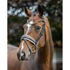 LeMieux Hoofdstel Kudos Patent Dressuur Bruin/Wit