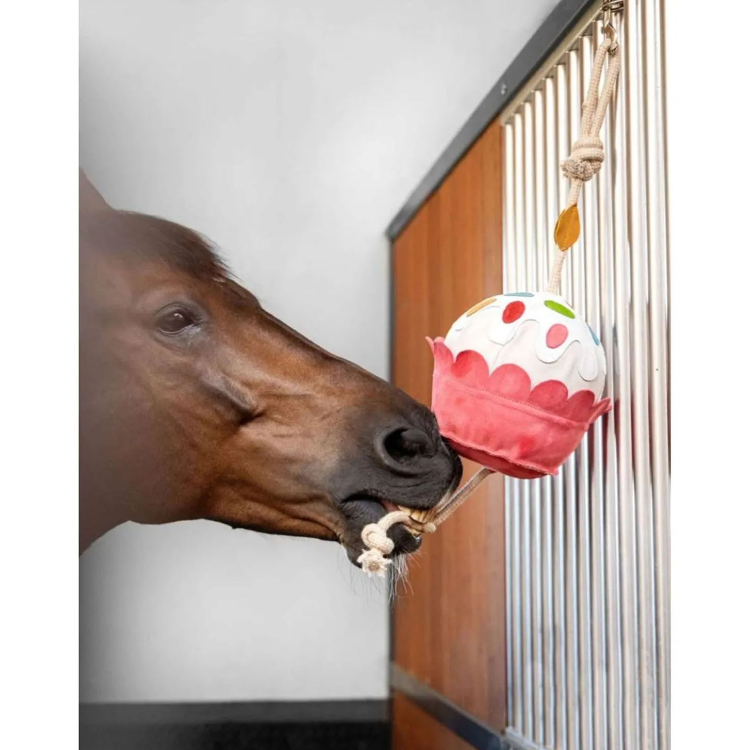 LeMieux Horse Toy Cupcake