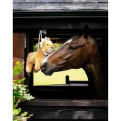 LeMieux Horse Toy Lion Oranje