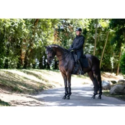 LeMieux Jas Softshell Heren Zwart