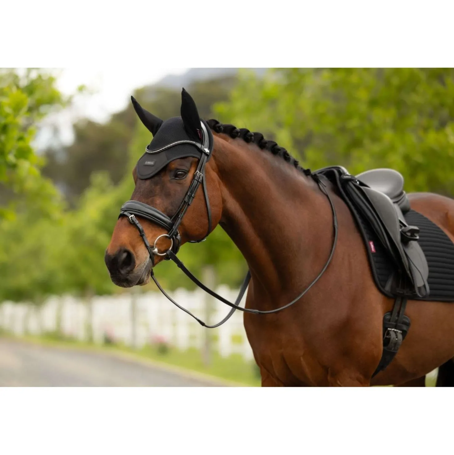 LeMieux Oornetje Air-Tek Mesh Zwart