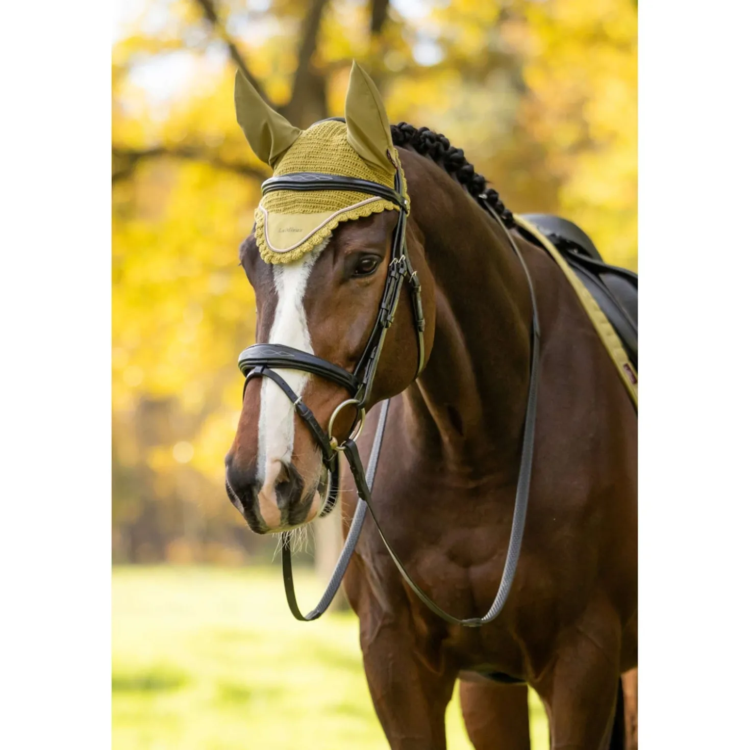 LeMieux Oornetje Classique Gooseberry