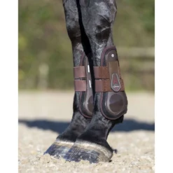 LeMieux Peesbeschermers Derby ProJump Bruin