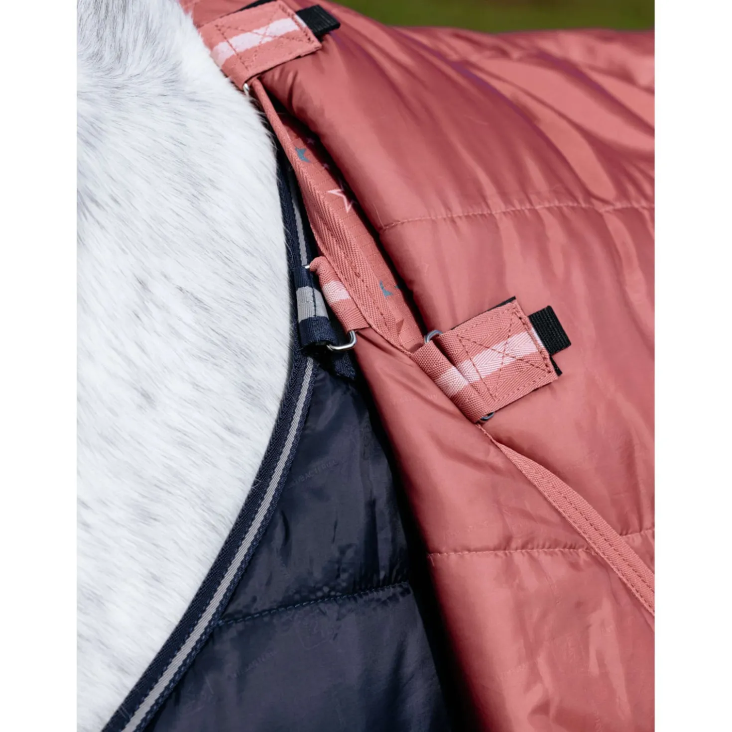LeMieux Regendeken Arika Star 0g Spiced Earth