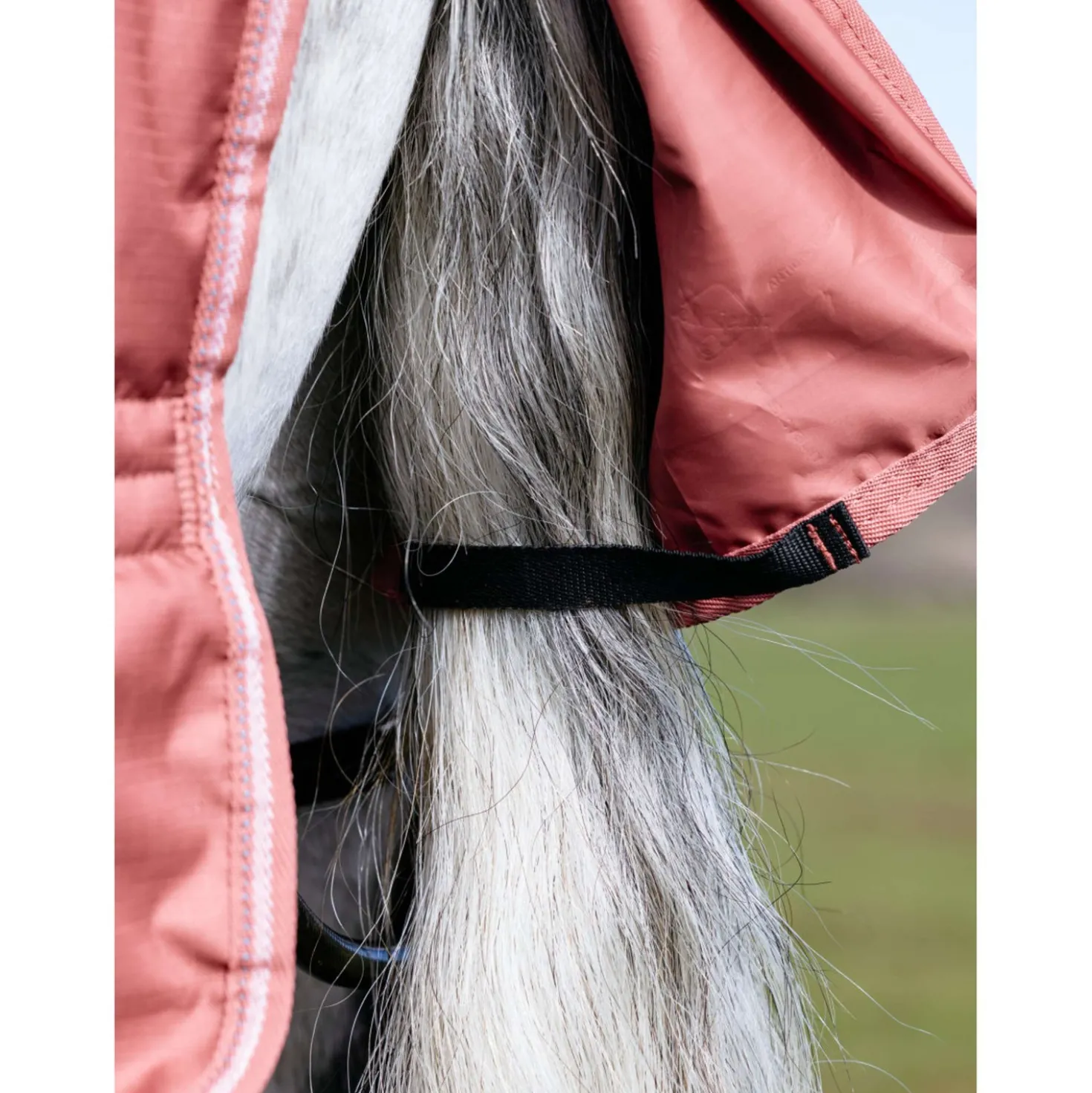 LeMieux Regendeken Arika Star 0g Spiced Earth
