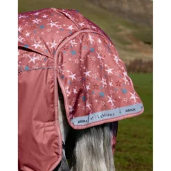 LeMieux Regendeken Arika Star 0g Spiced Earth