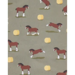 LeMieux Rijsokken Footsie Clydesdale/Willow