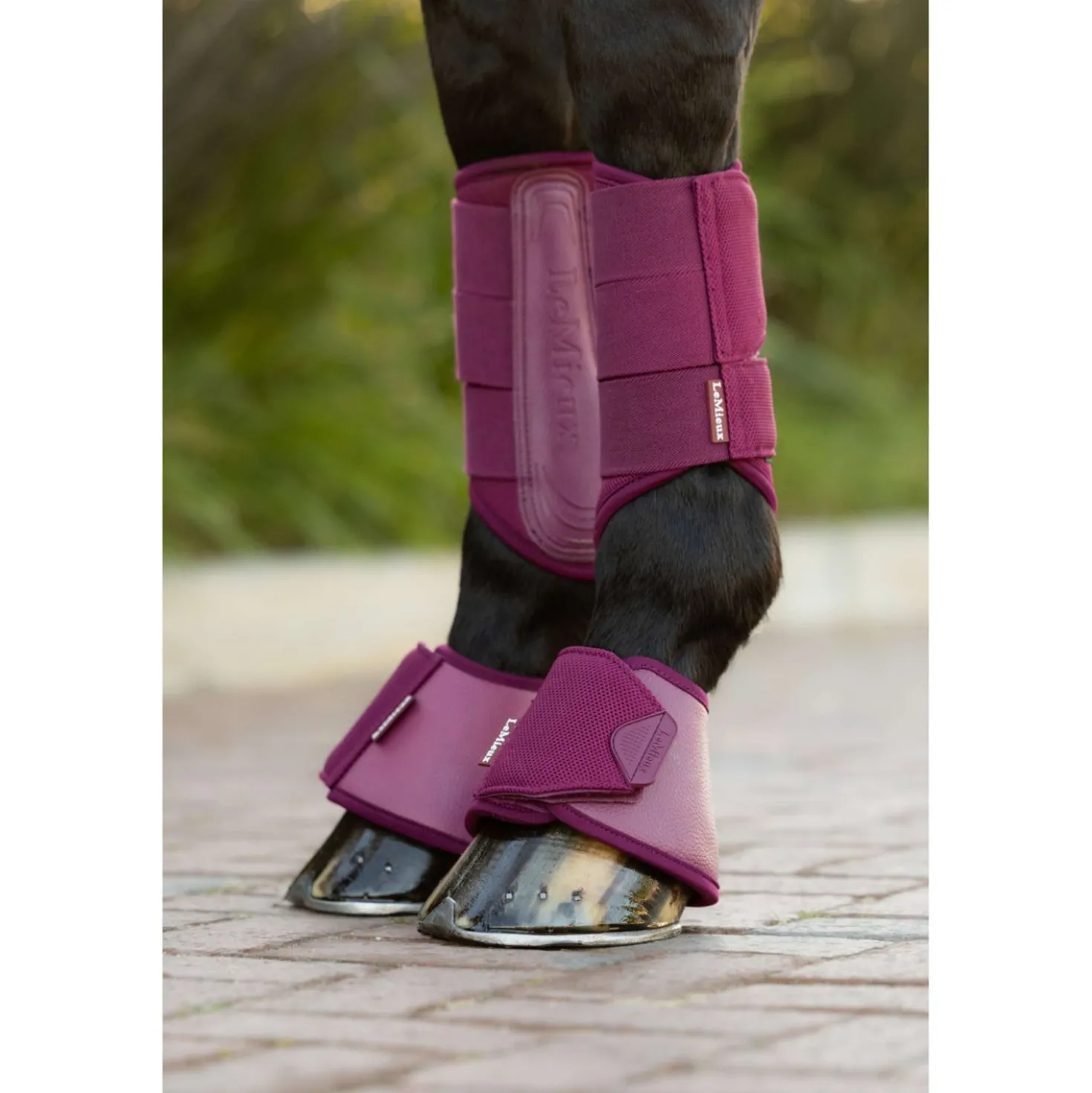 LeMieux Springschoenen Arika Blackberry