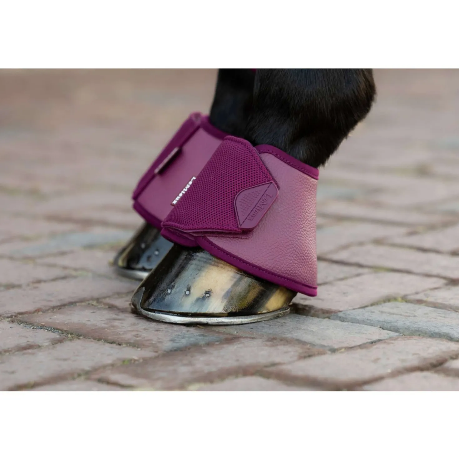 LeMieux Springschoenen Arika Blackberry