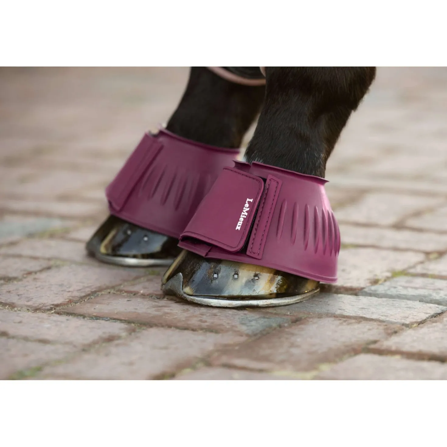 LeMieux Springschoenen Rubber Blackberry