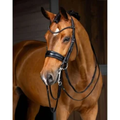 LeMieux Stang en Trenshoofdstel Kudos Zwart
