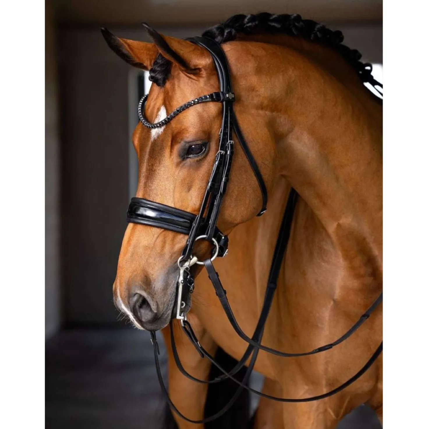 LeMieux Stang en Trenshoofdstel Kudos Zwart