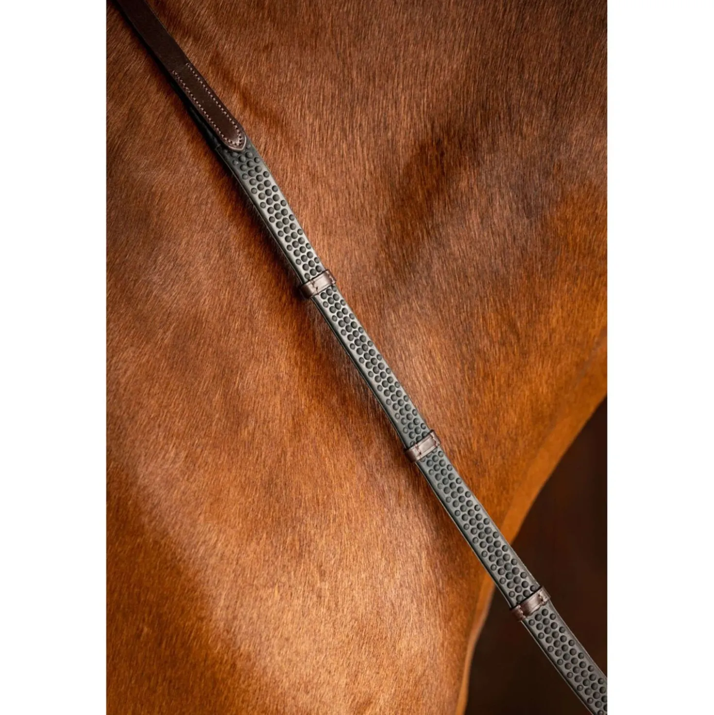 LeMieux Teugels Arika Soft Rubber with Stopper Havana/Brass