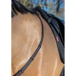 LeMieux Teugels Arika Soft Rubber with Stopper Bruin/Zilver