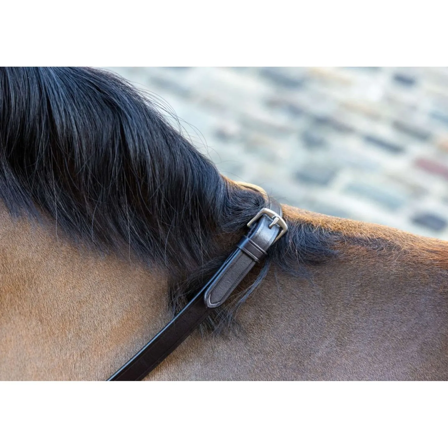LeMieux Teugels Arika Soft Rubber with Stopper Bruin/Brass
