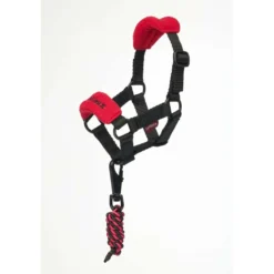 LeMieux Toy Pony Halster Vogue Chilli