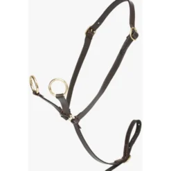 LeMieux Toy Pony Martingaal Bruin