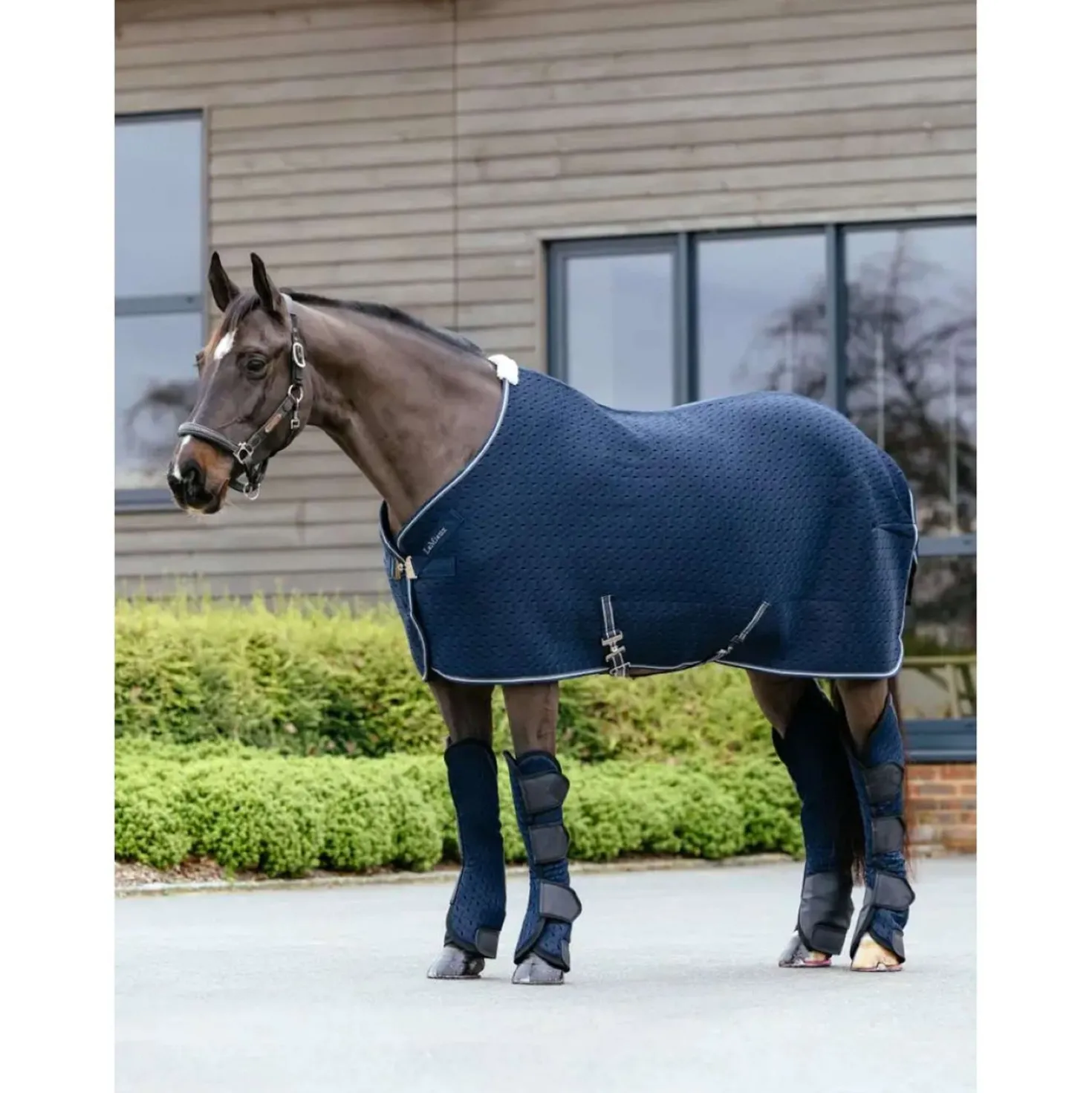 LeMieux Transportbeschermers Kudos 3D Mesh Navy