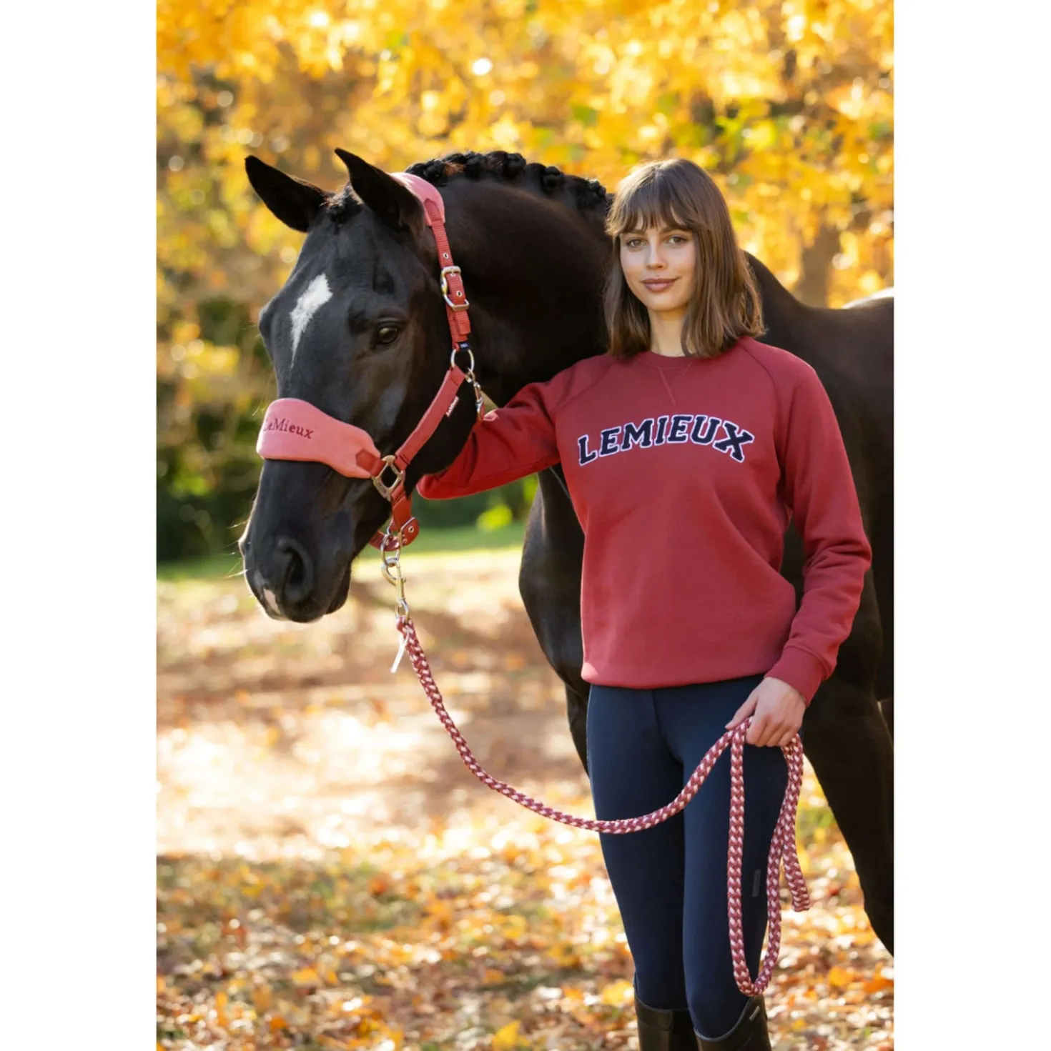 LeMieux Trui Vida Varsity Crew Neck Russet