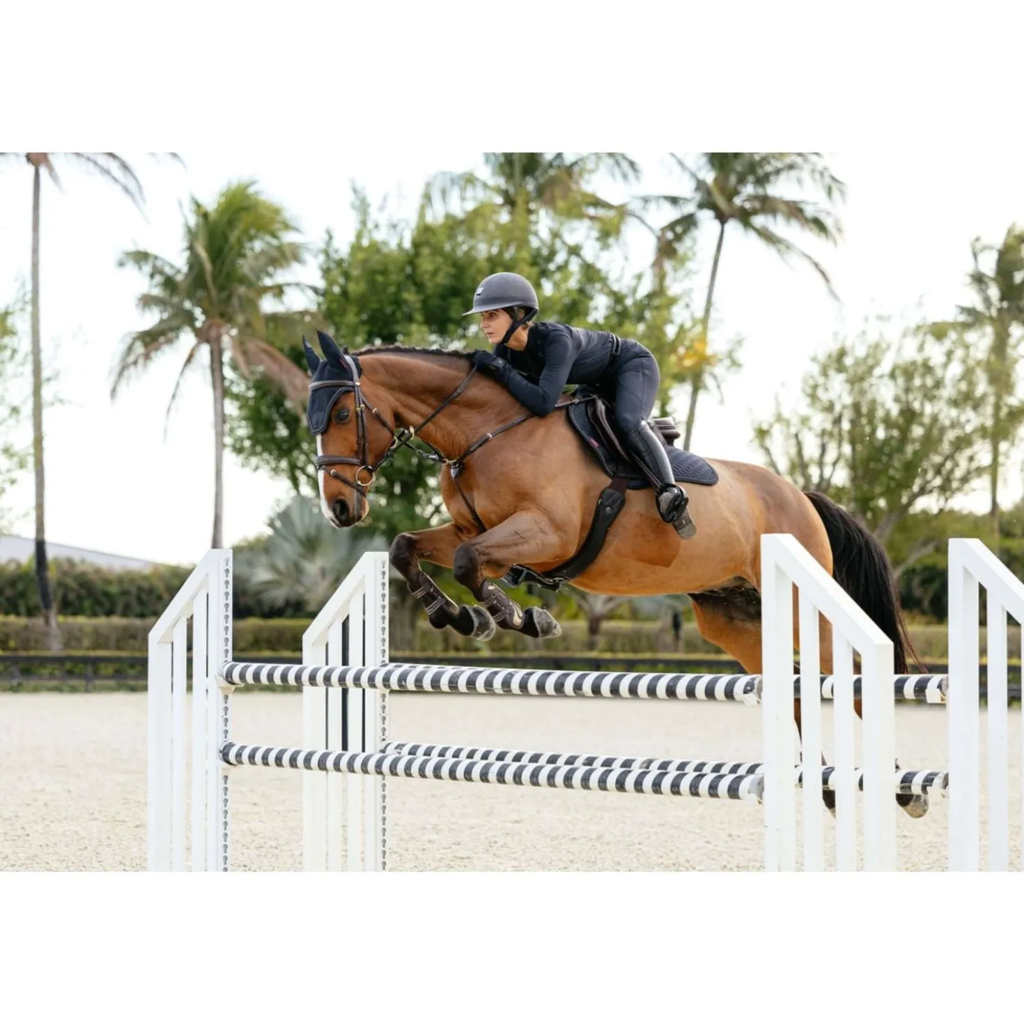 LeMieux Zadeldekje Brilliance Close Contact Square Springen Navy