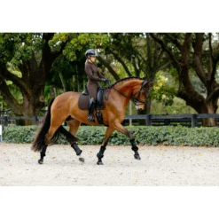 LeMieux Zadeldekje Brilliance Dressuur Espresso