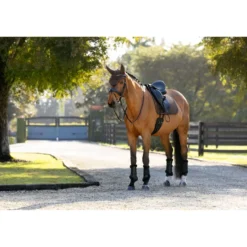 LeMieux Zadeldekje Brilliance Dressuur Espresso