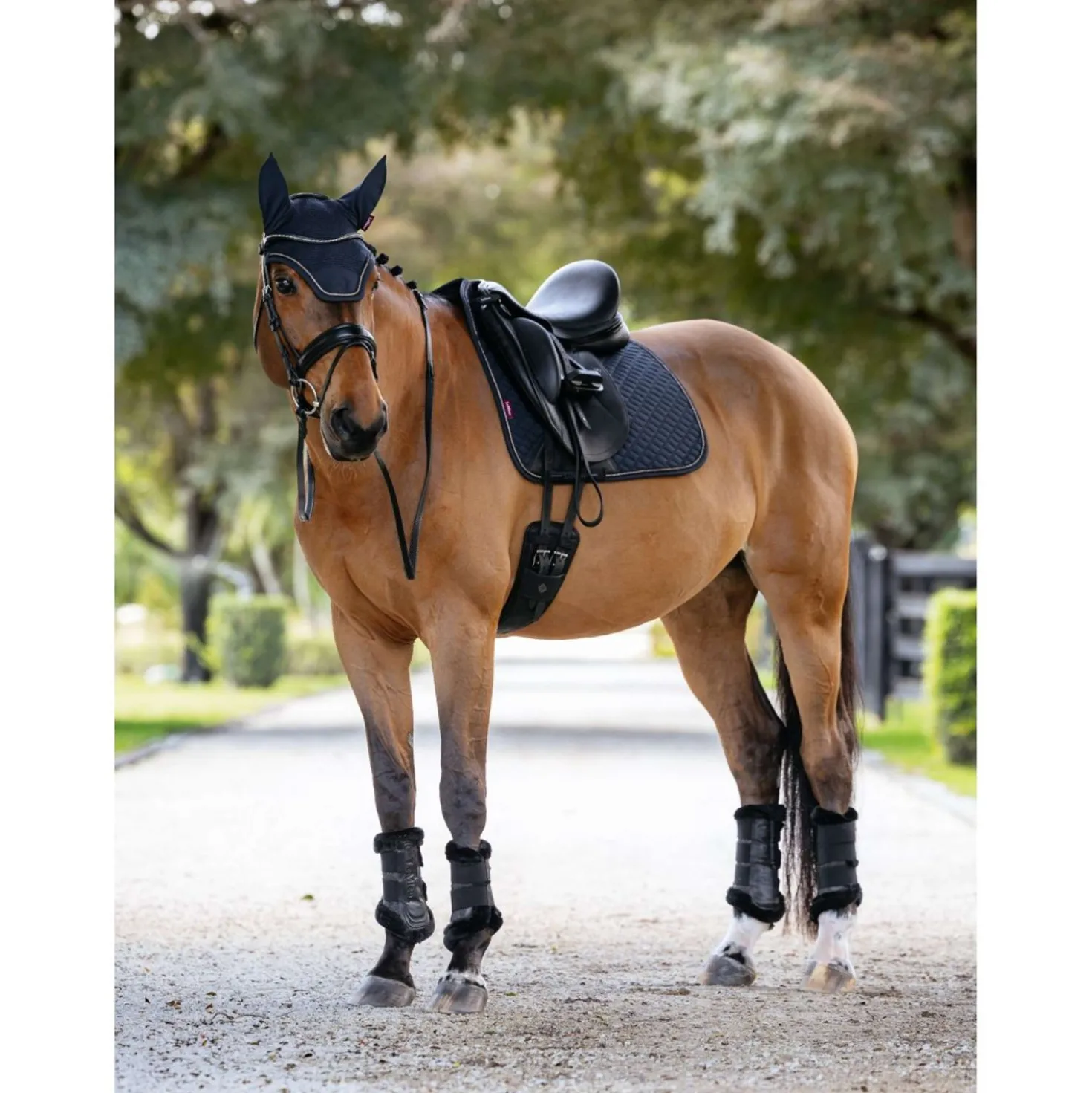 LeMieux Zadeldekje Brilliance Dressuur Navy