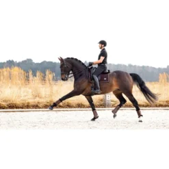LeMieux Zadeldekje Dressuur Puissance Suede Bruin