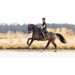 LeMieux Zadeldekje Dressuur Puissance Suede Bruin