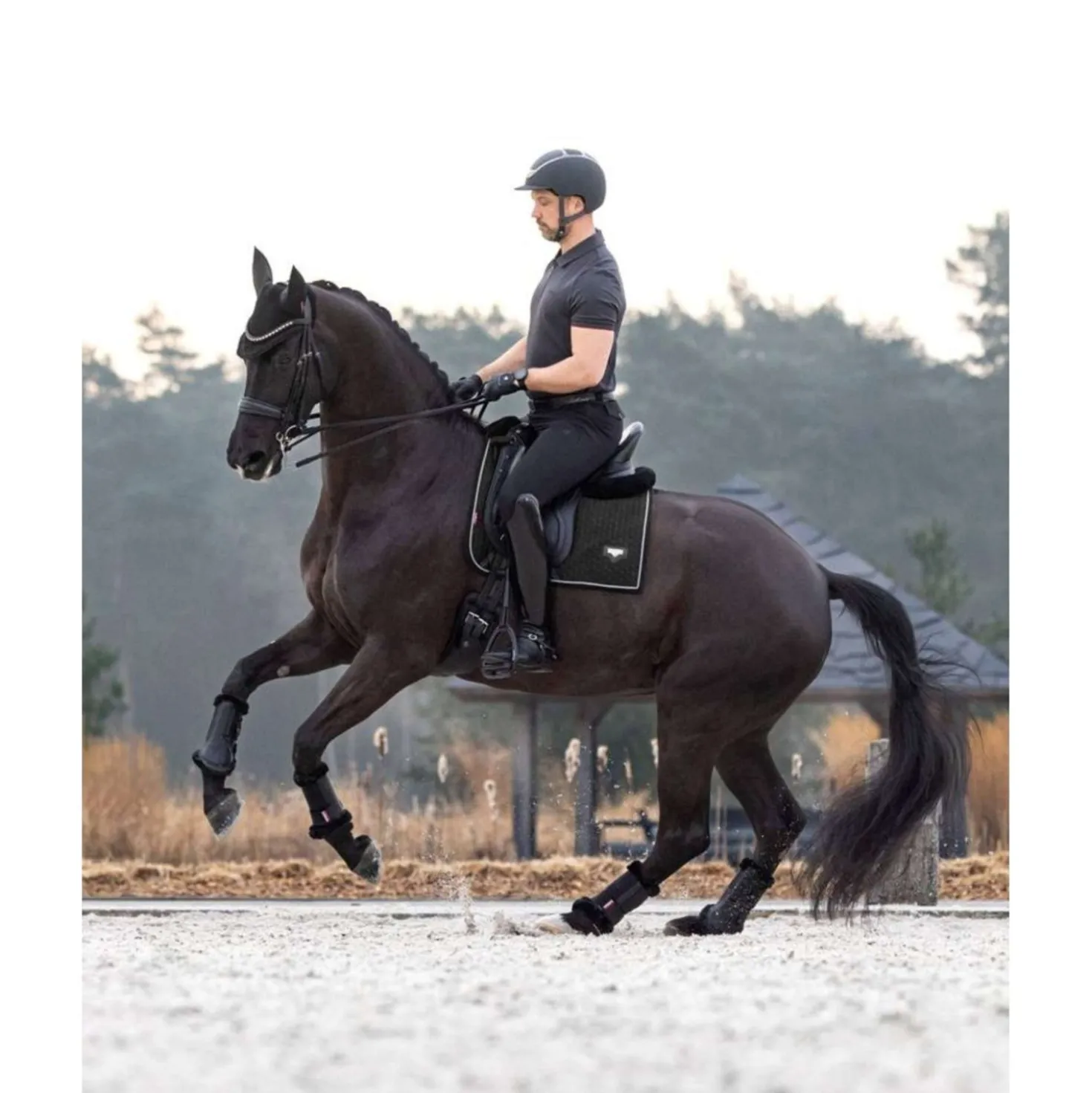 LeMieux Zadeldekje Dressuur Puissance Suede Zwart