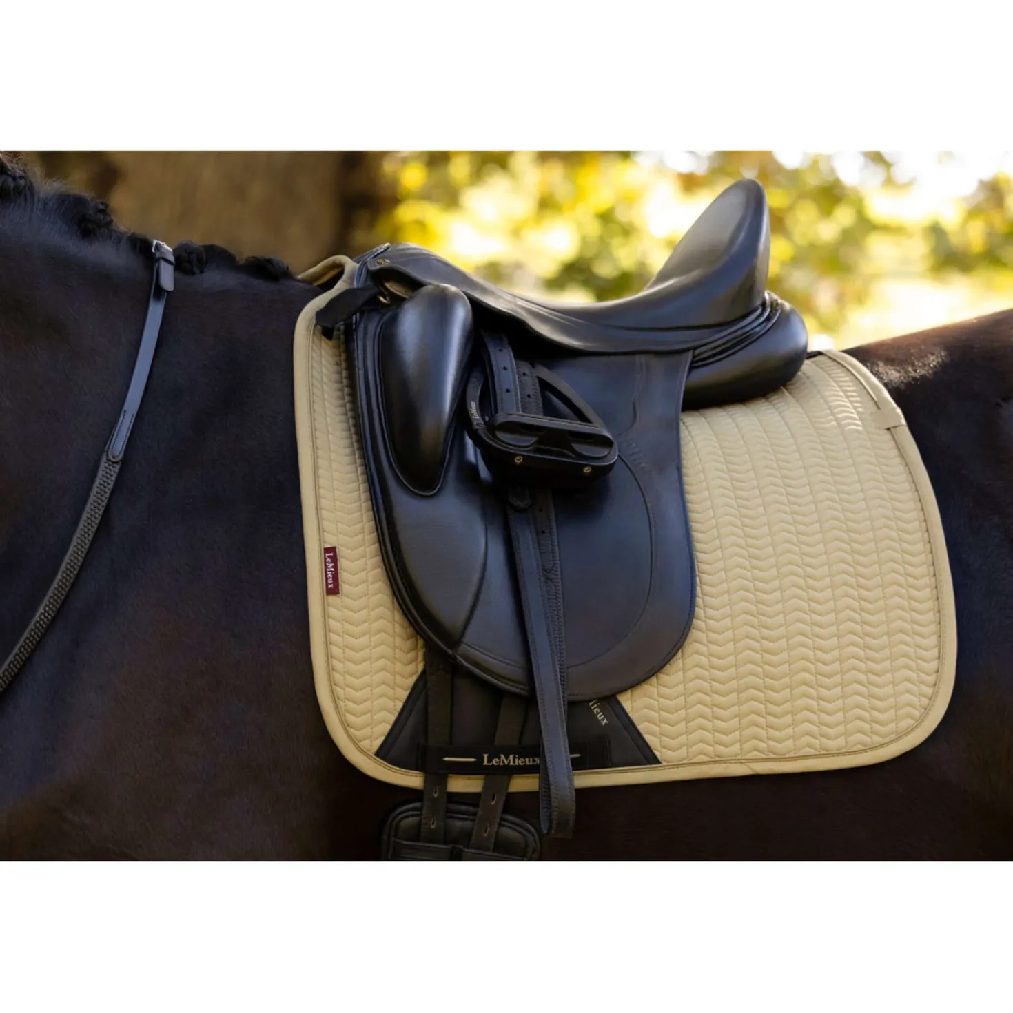 LeMieux Zadeldekje Essence Dressuur Pear