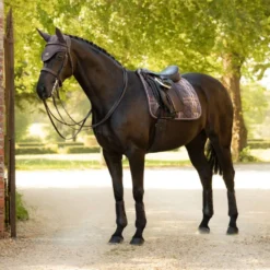LeMieux Zadeldekje Heritage Check Square Dressuur Cocoa
