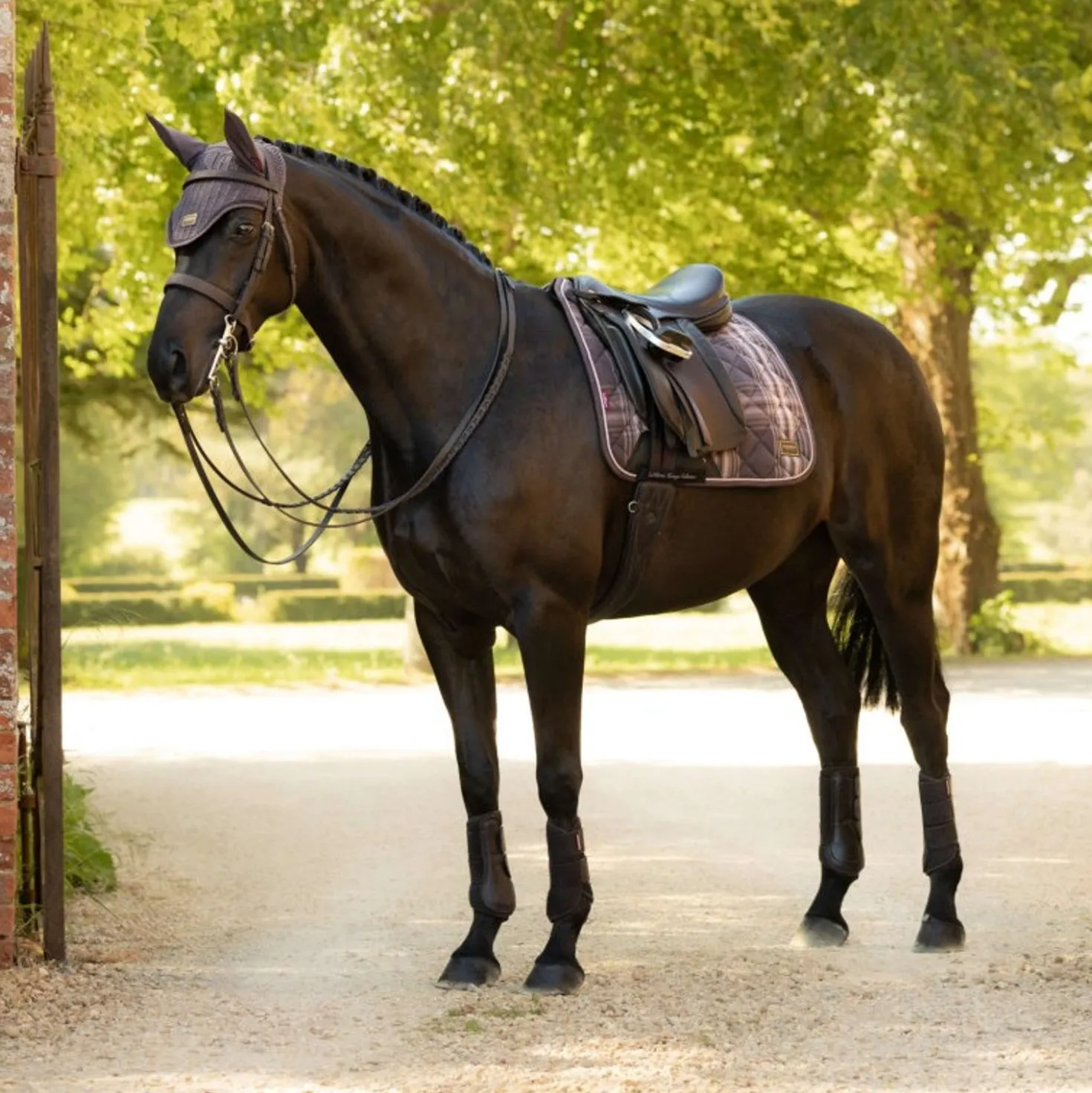 LeMieux Zadeldekje Heritage Check Square Dressuur Cocoa