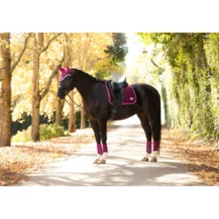 LeMieux Zadeldekje Loire Classic Square Dressuur Blackberry