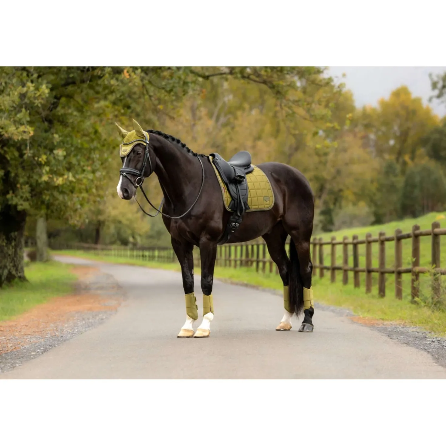 LeMieux Zadeldekje Loire Classic Square Dressuur Gooseberry