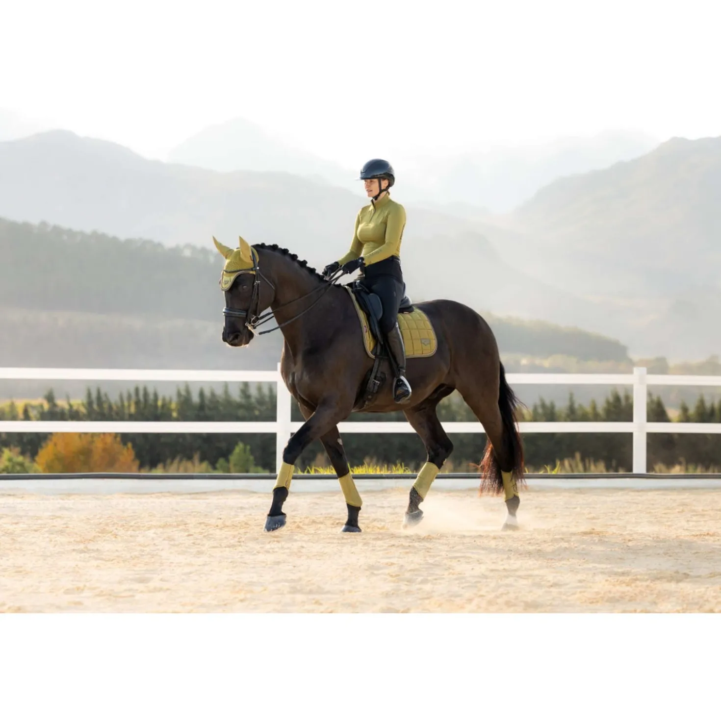 LeMieux Zadeldekje Loire Classic Square Dressuur Gooseberry