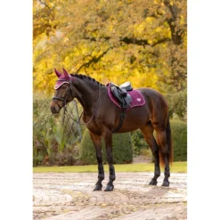 LeMieux Zadeldekje Loire Classic Close Contact Square Springen Blackberry