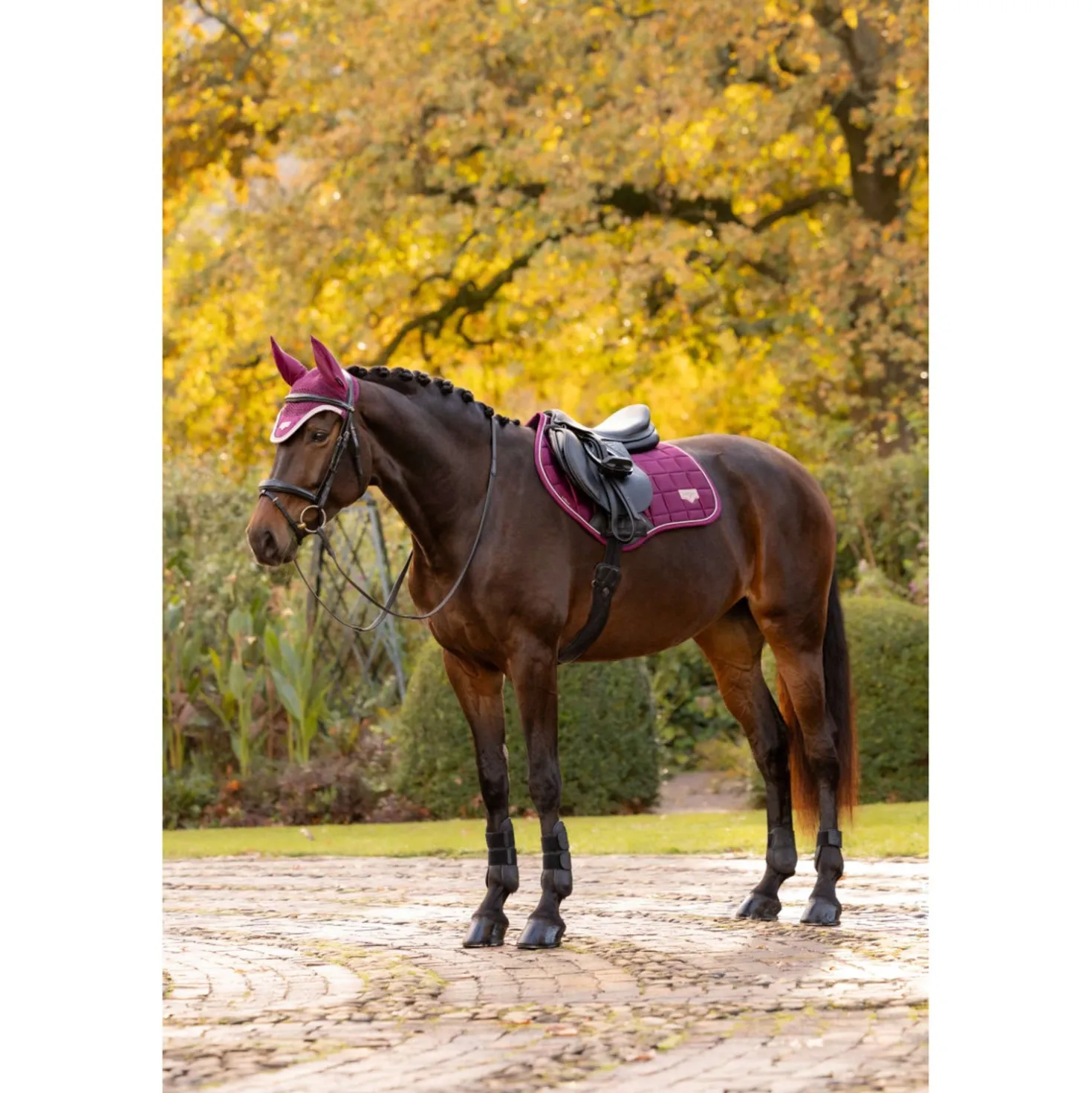 LeMieux Zadeldekje Loire Classic Close Contact Square Springen Blackberry
