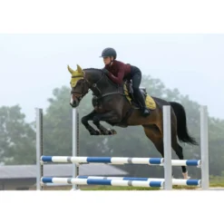LeMieux Zadeldekje Loire Classic Close Contact Square Springen Gooseberry
