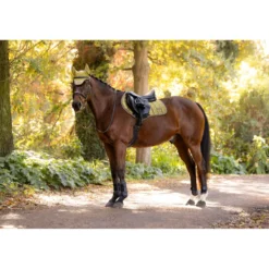 LeMieux Zadeldekje Loire Classic Close Contact Square Springen Gooseberry