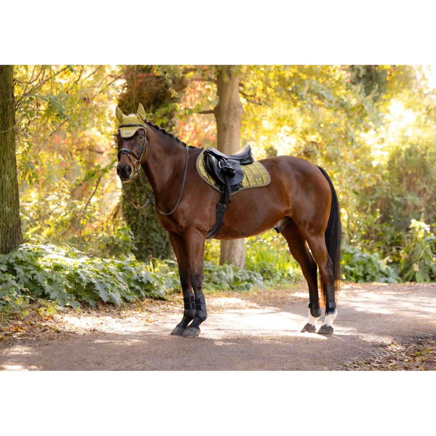 LeMieux Zadeldekje Loire Classic Close Contact Square Springen Gooseberry