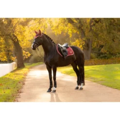 LeMieux Zadeldekje Loire Classic Close Contact Square Springen Russet