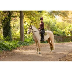 LeMieux Zadeldekje Loire Classic Square Veelzijdigheid Gooseberry