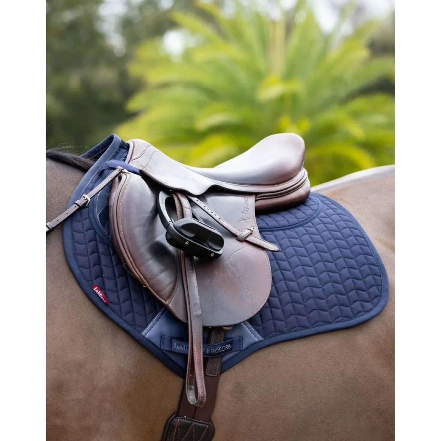 LeMieux Zadeldekje Prosorb Plain 2 Pocket CC Navy