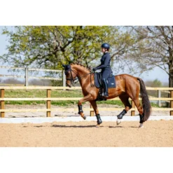 LeMieux Zadeldekje Puissance Suede Dressuur Navy